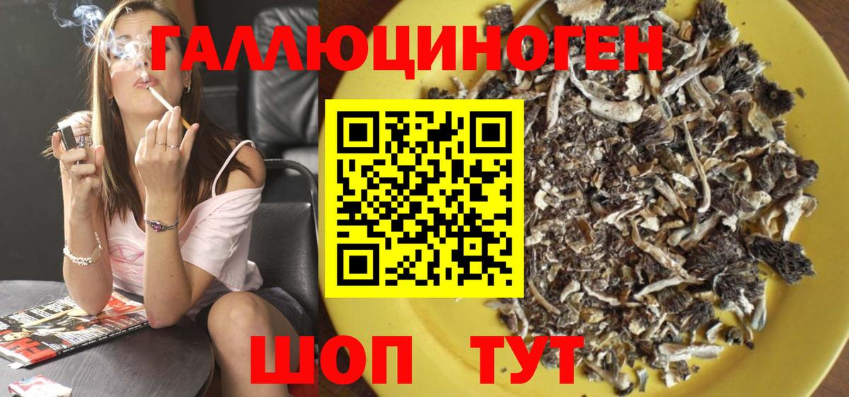 Галлюциногенные грибы Psilocybine cubensis  купить  цена  Гатчина  Вход с VPN 