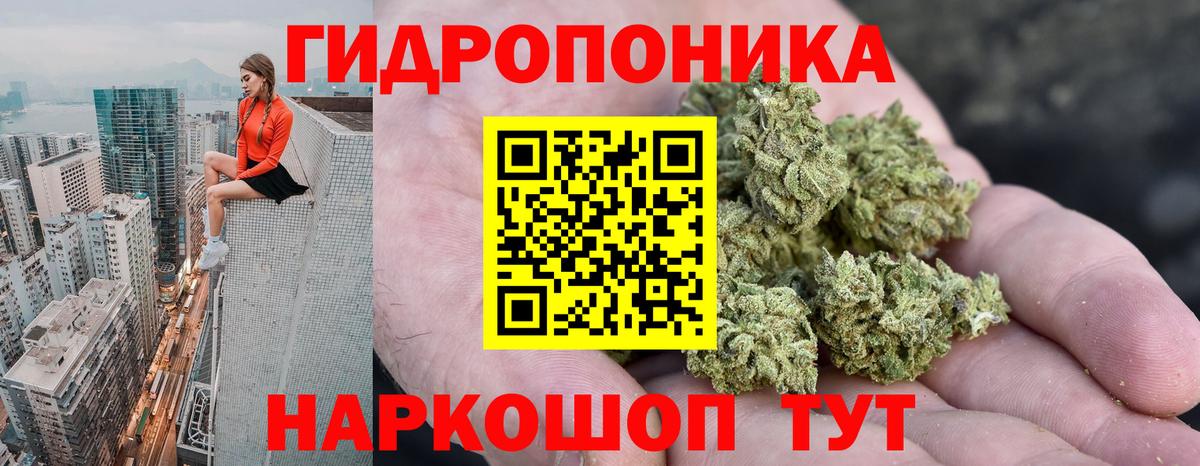 Бошки Шишки конопля Гатчина